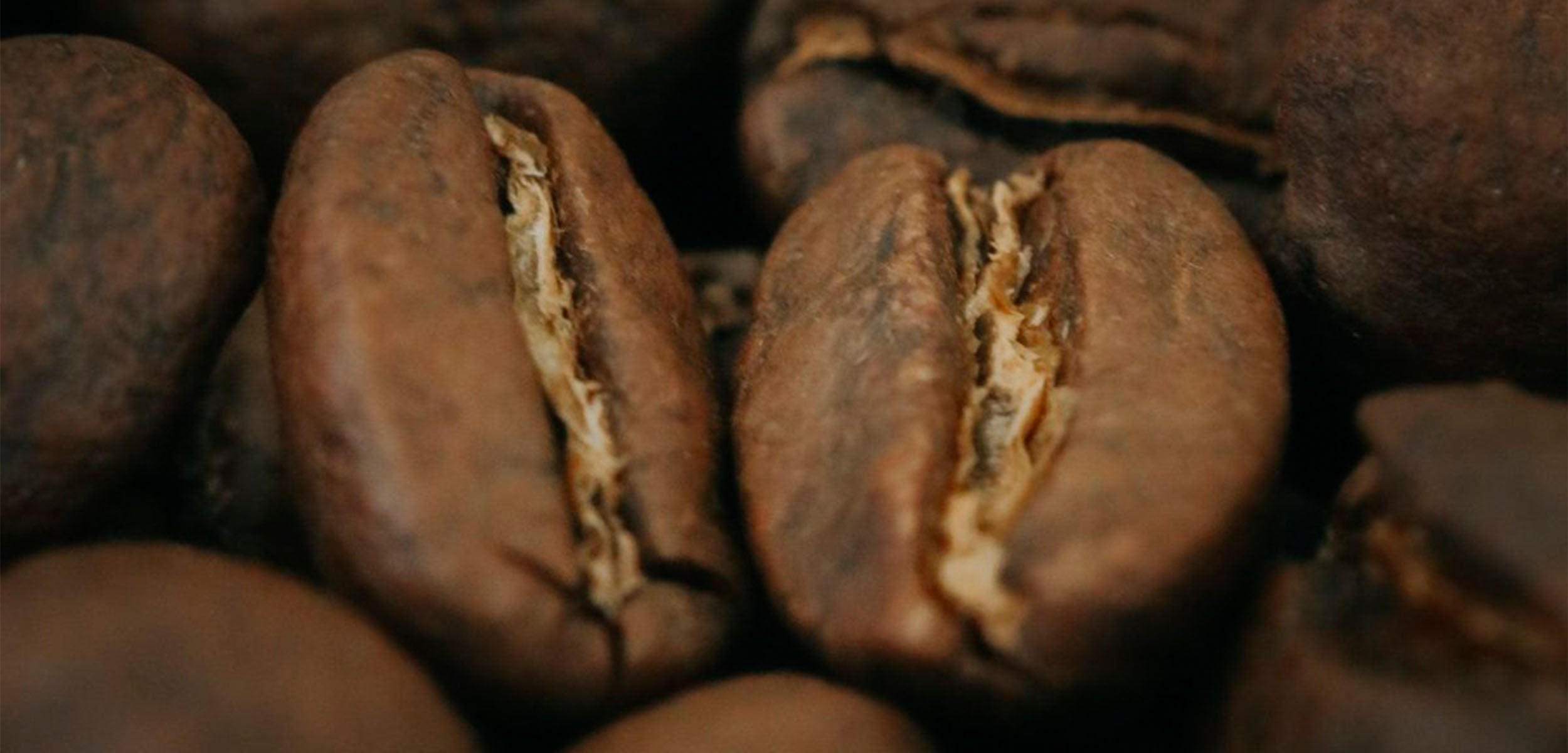 Warum unser Kaffee am Mount Meru wächst – und was das für deine Tasse bedeutet